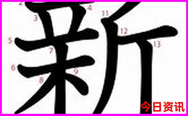 最近游玩的地方有哪些