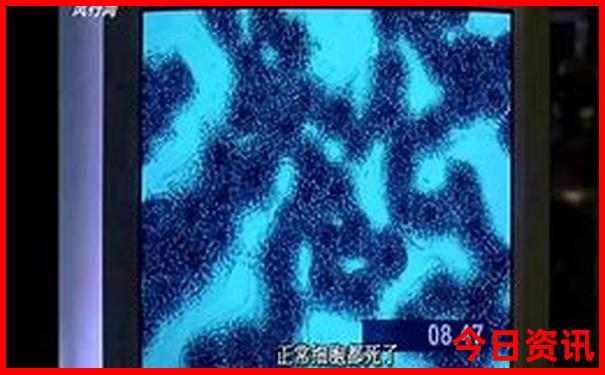 新澳2025今晚特马开奖结果一